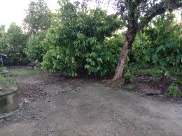 Galeri