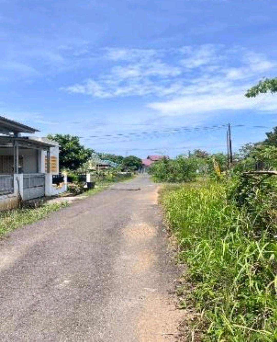 Galeri
