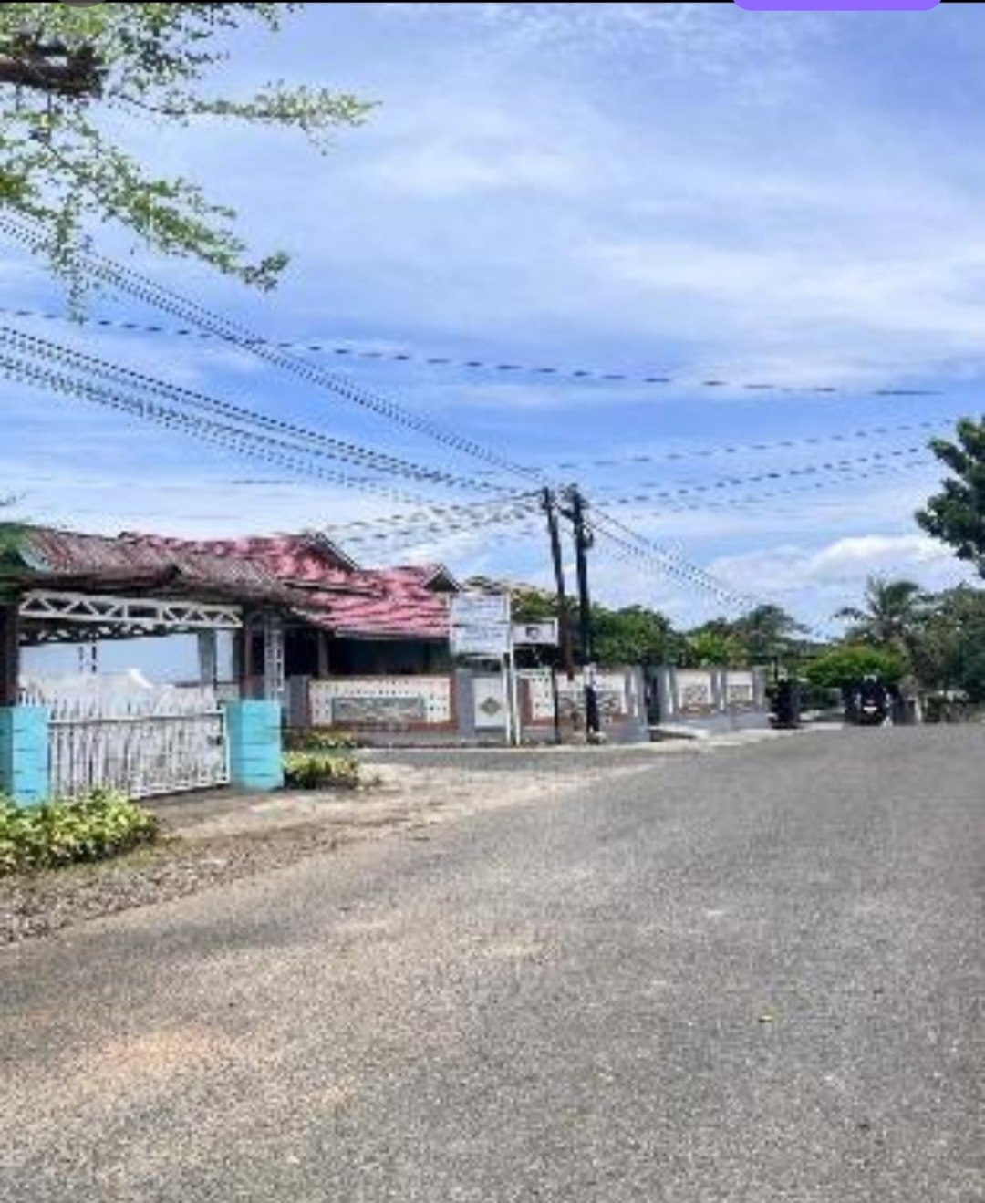 Galeri