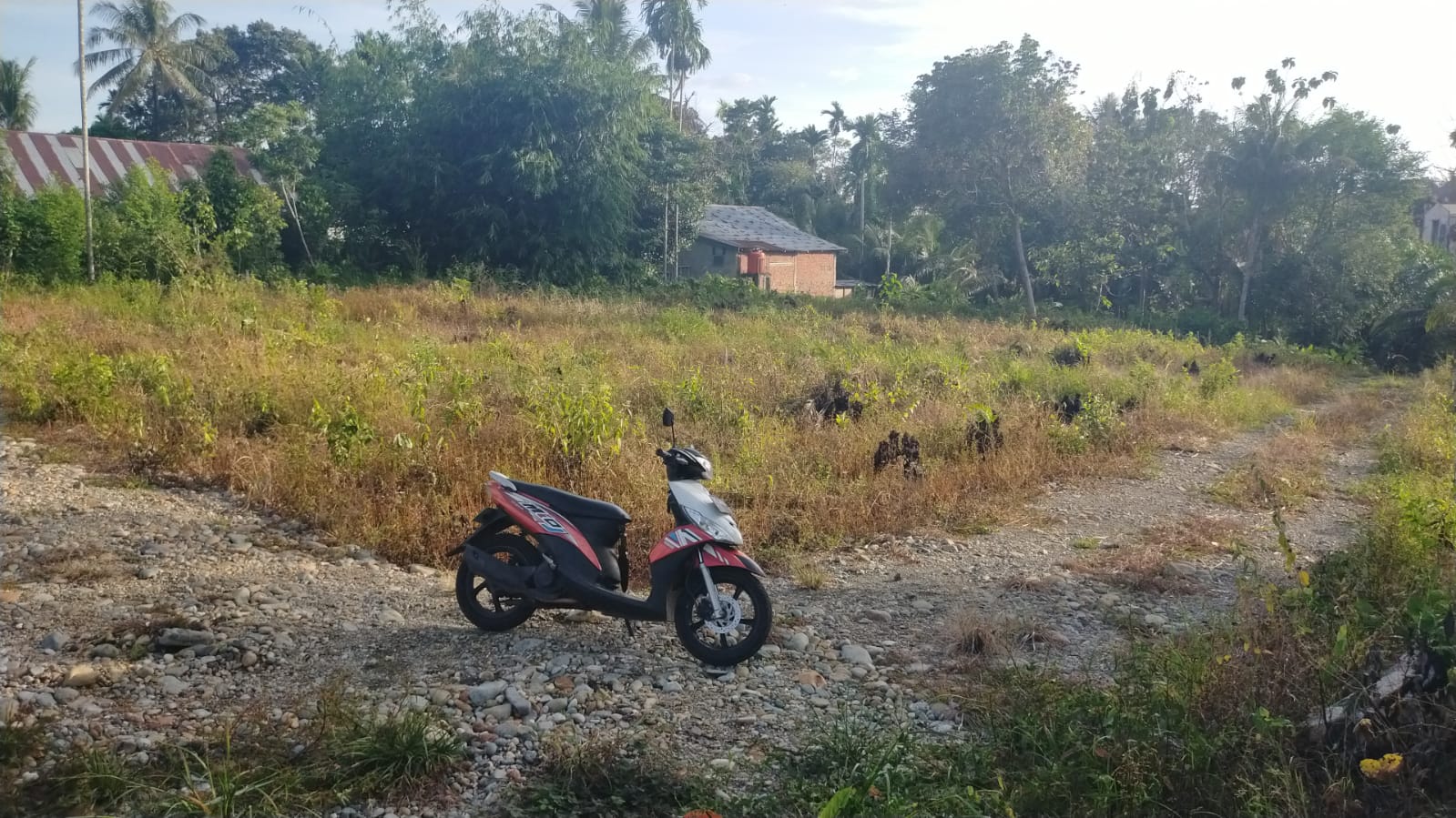 Tanah
