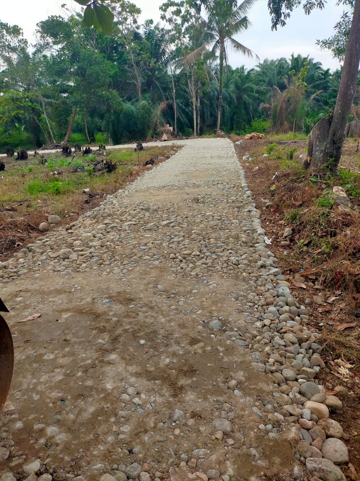 Galeri