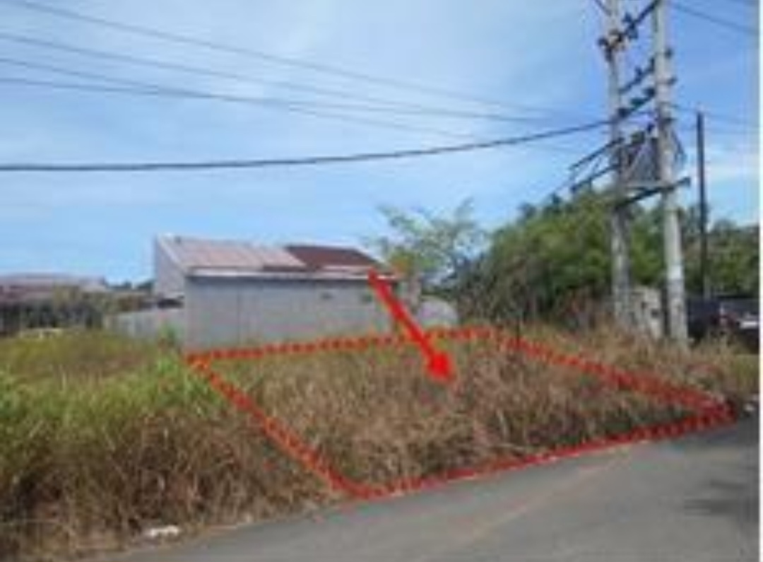Tanah murah