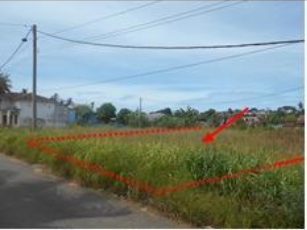 Tanah Kavling Murah