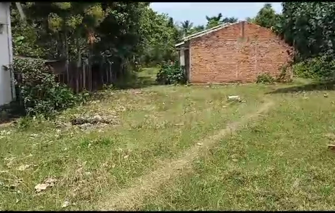 Galeri