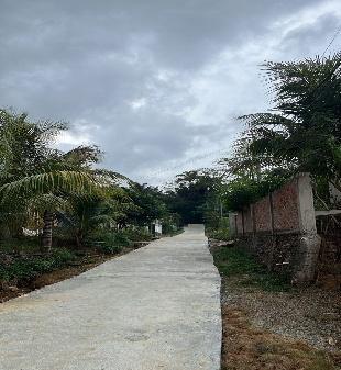 Galeri