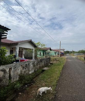 Galeri