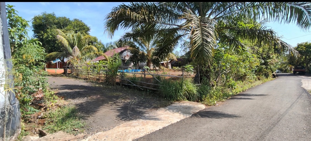 Dijual Tanah cocok untuk rumah Pribadi