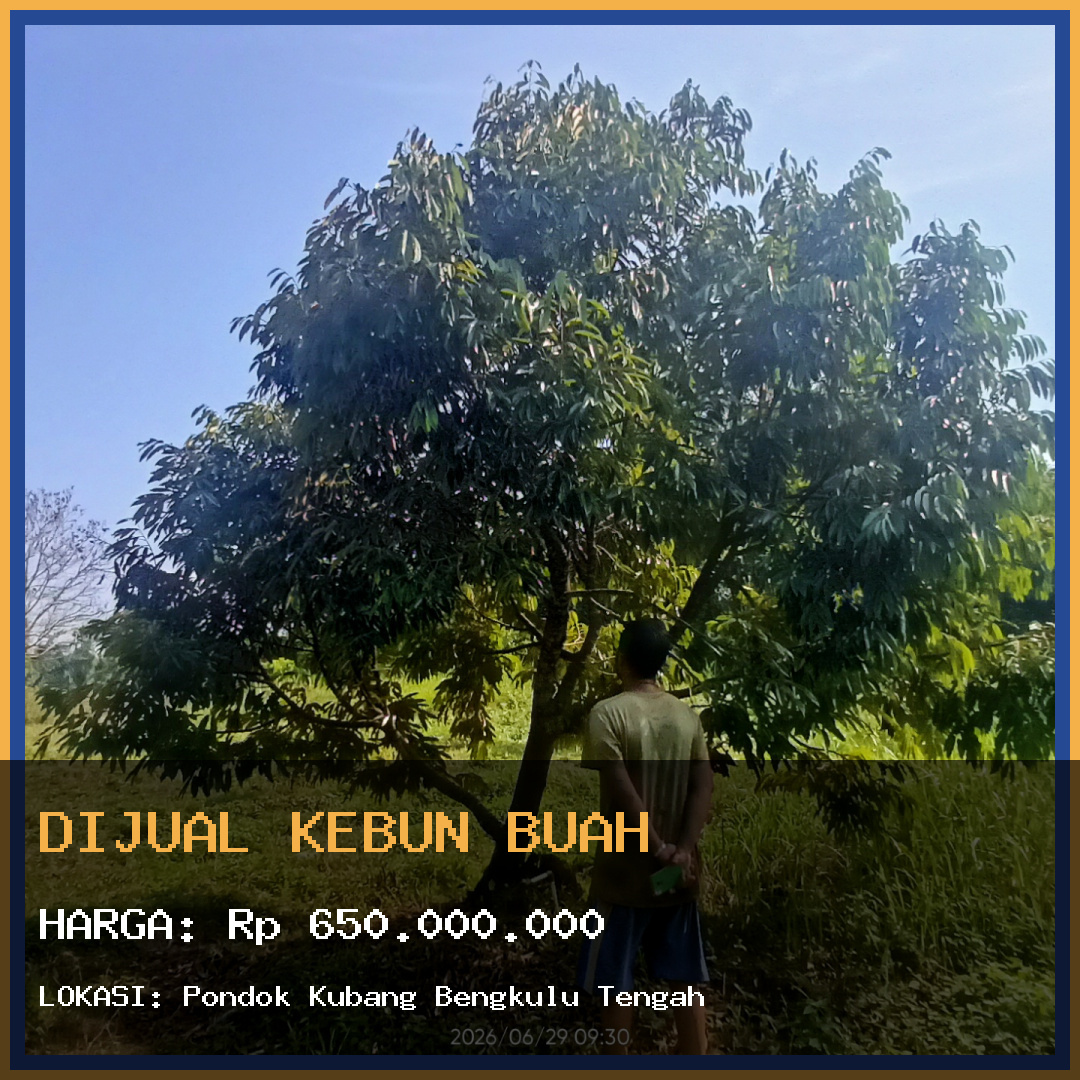 Dijual Kebun Buah